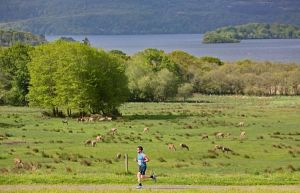 Lakes of Killarney Marathon content writing